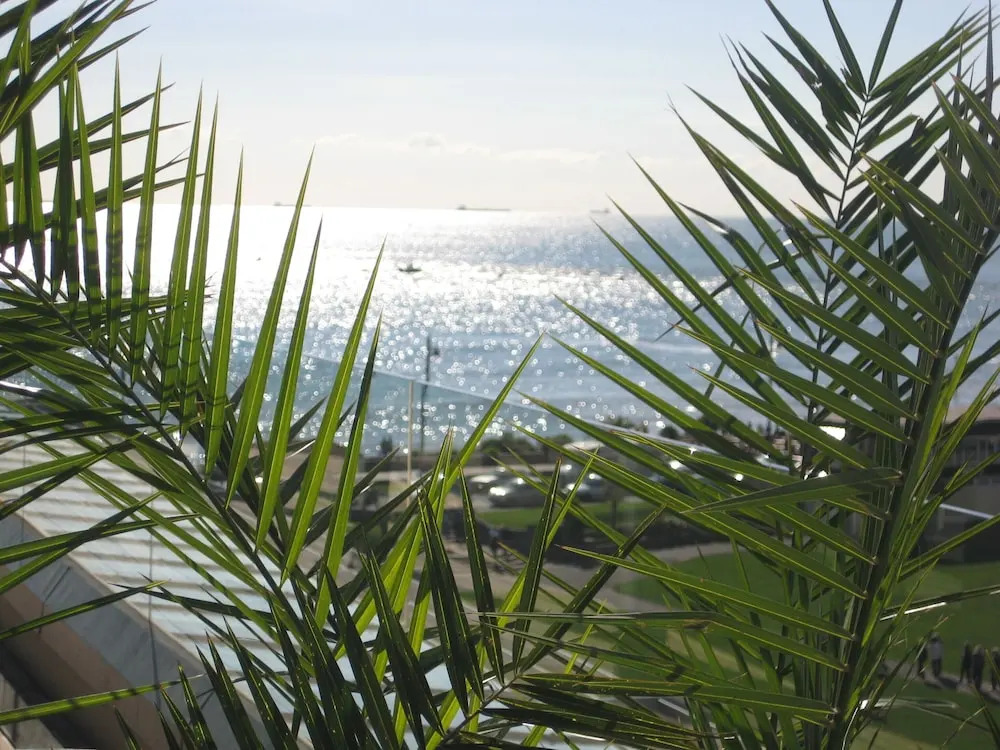 Riviera Apartments - Five Stylish Penthouse Apartments with Unrivalled Sea Views of Teignmouth, Shaldon, The Jurassic Coastline & The Teign Estuary