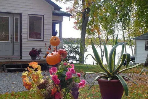 The Birches Resort