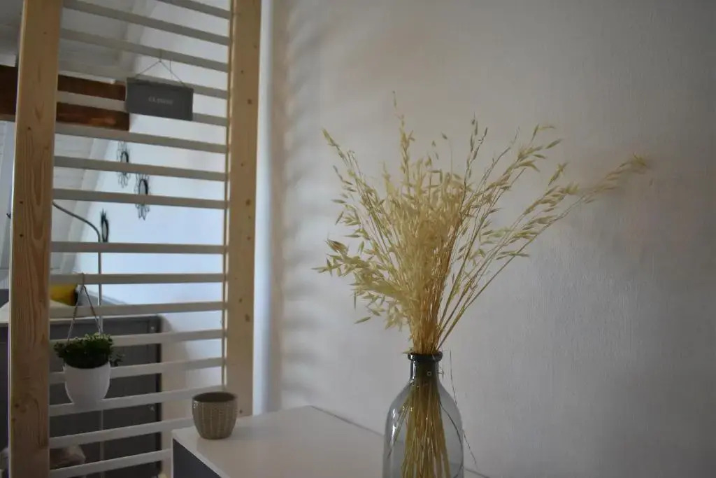 Charmant Studio, Le Petit Gris Des Montagnes