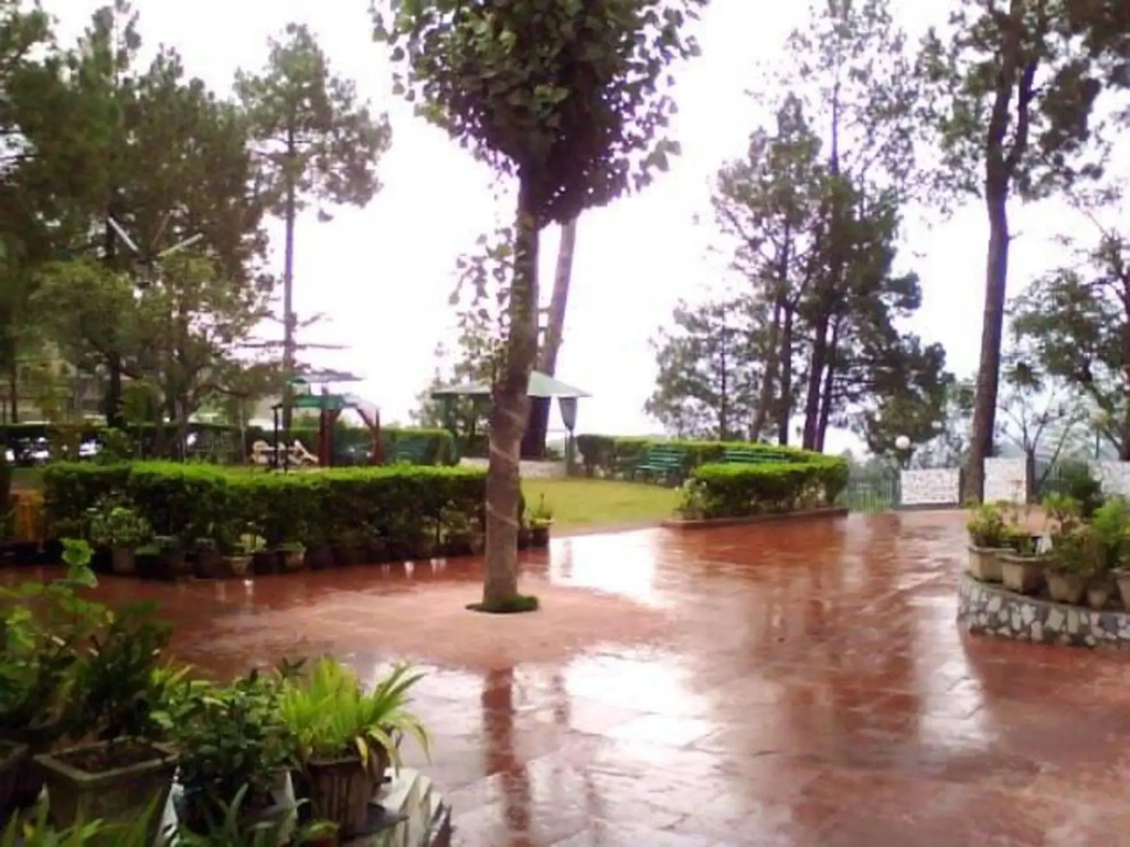 Hotel Pine Grove