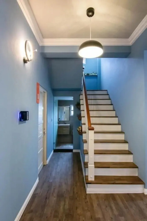 蘿蔔民宿Carrot Hostel - 寵物友善民宿