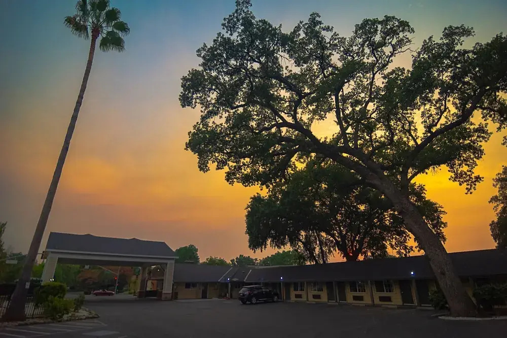 Safari Inn - Chico
