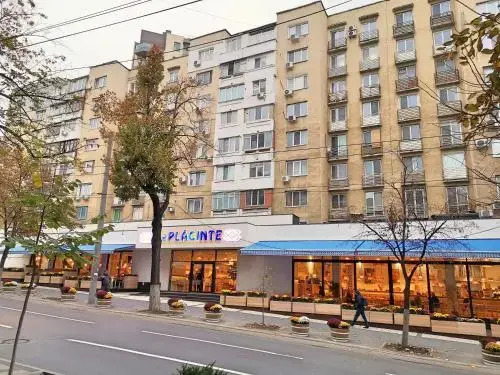 Central Park Apartment