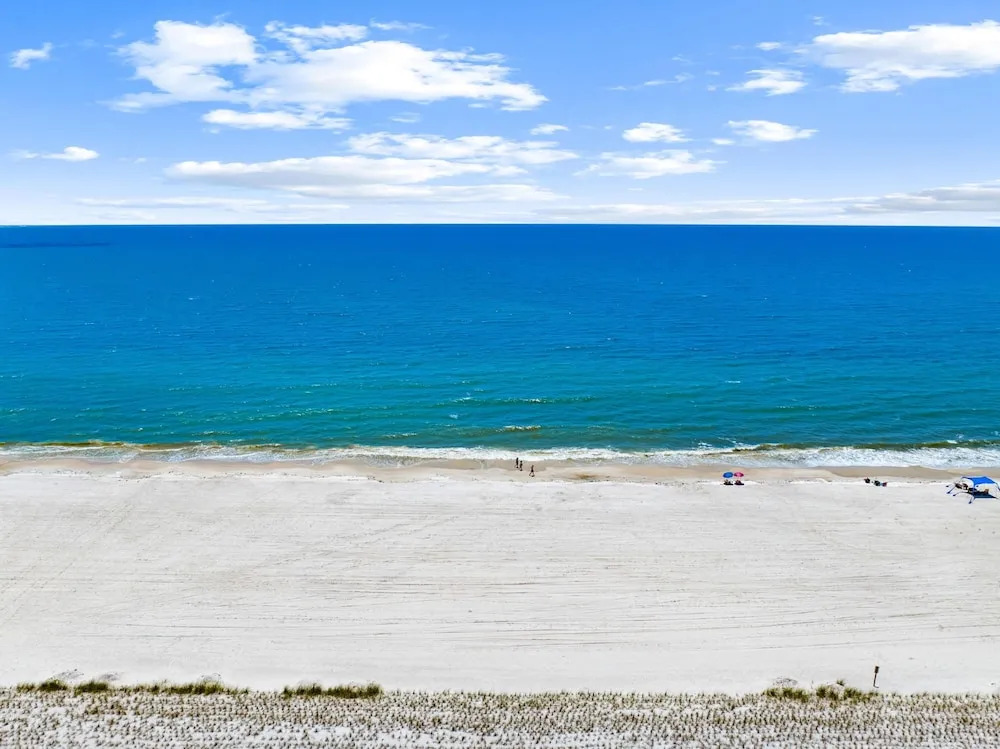Pet Friendly Beach House - Lazy Palms