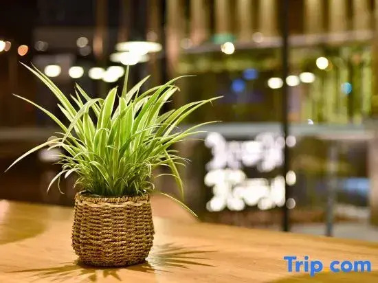True Go Hotel Beijing Wangjing Science Park Store