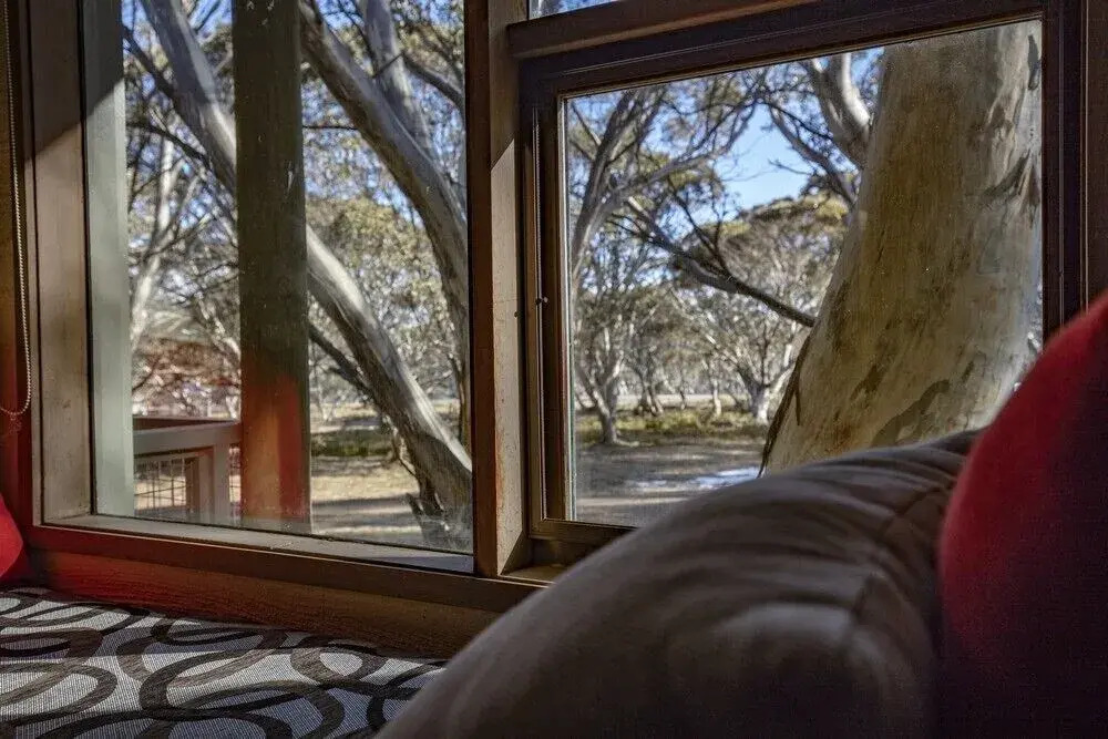 Snowgums 07
