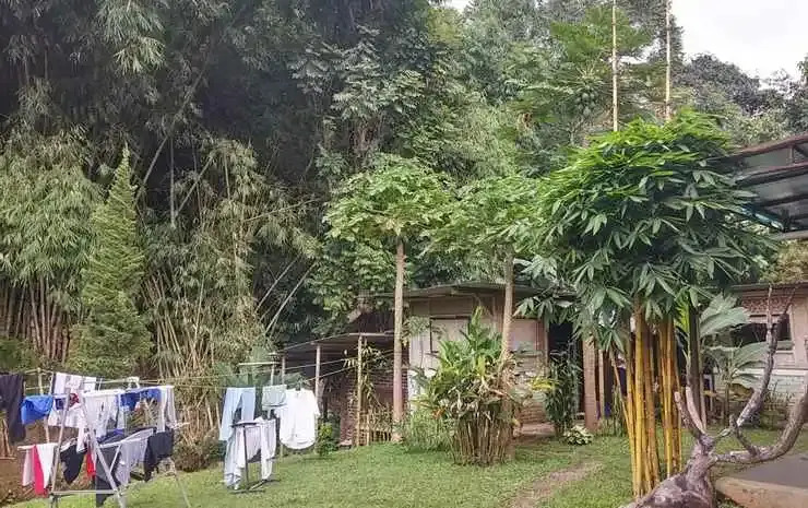 Homestay Triniti