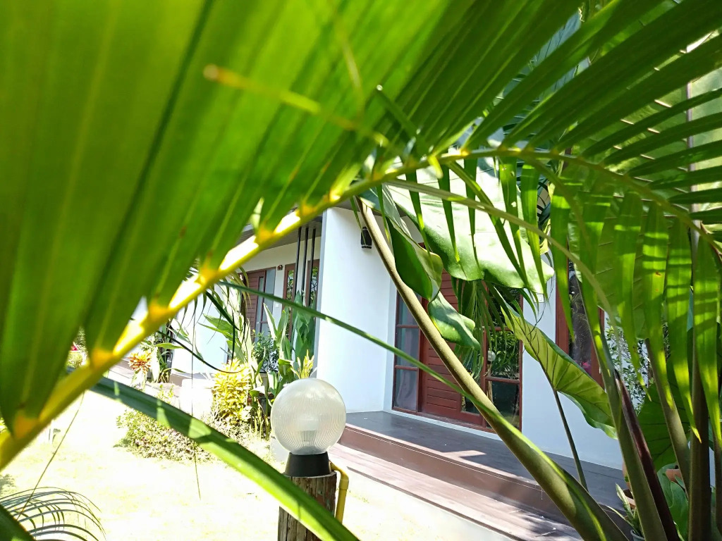 The niran guest house