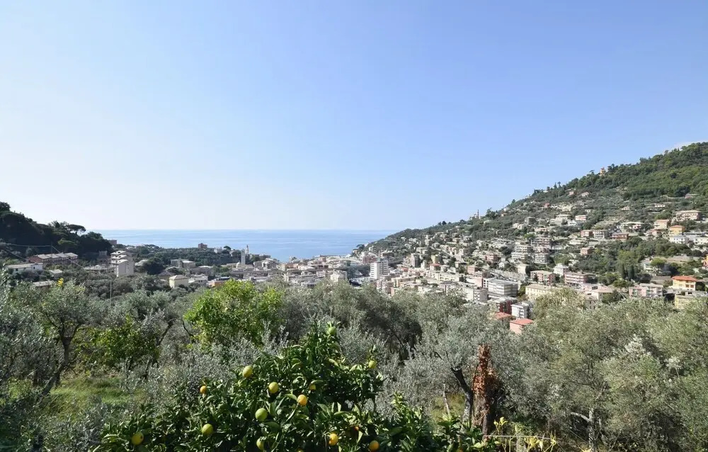 Stunning Home In Recco