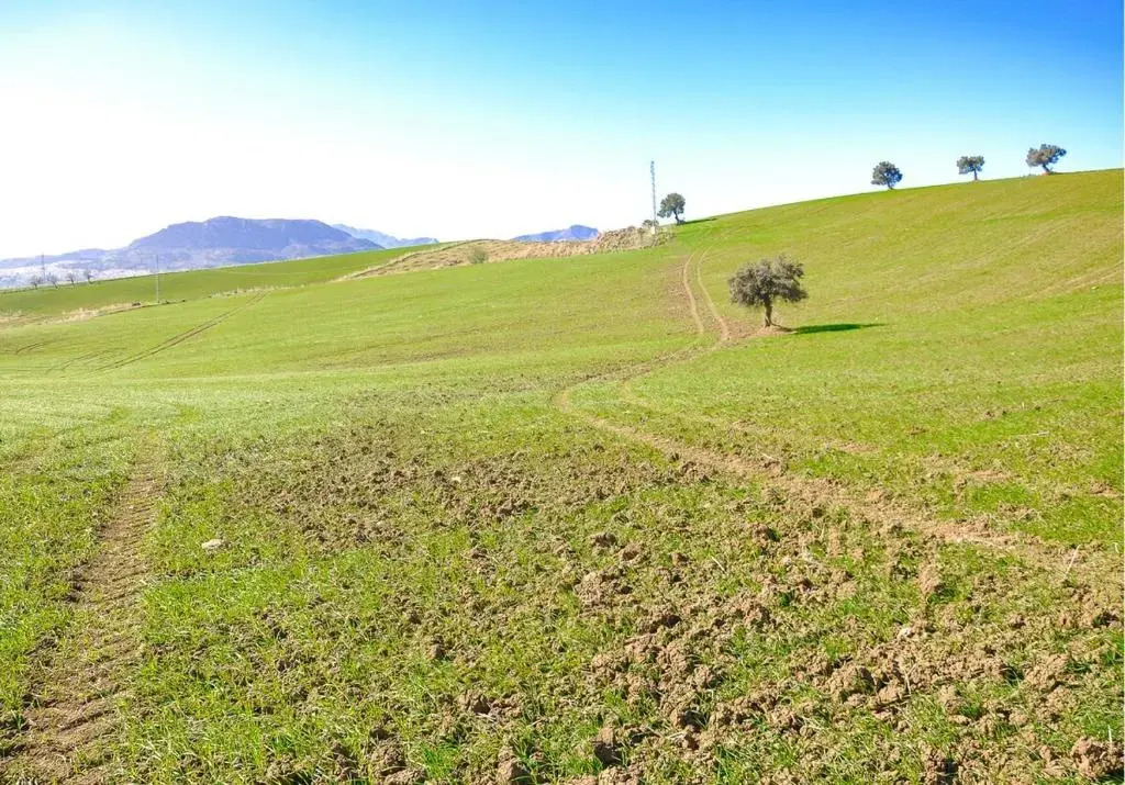 Cortijo Las Caballerias