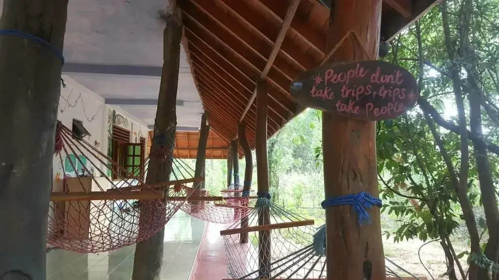Jungle Vista