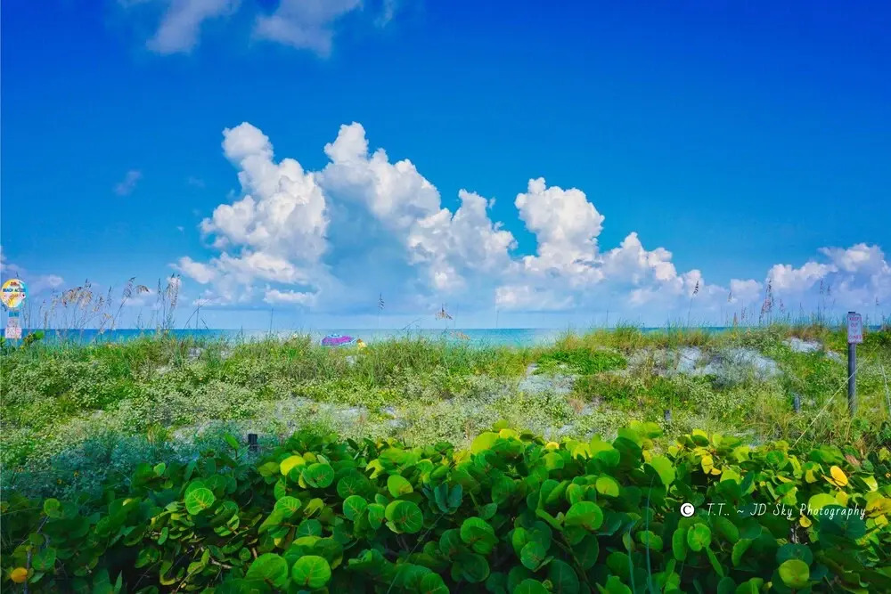 Pass-a-grille Beach Cottage 105-17b by Tech Travel