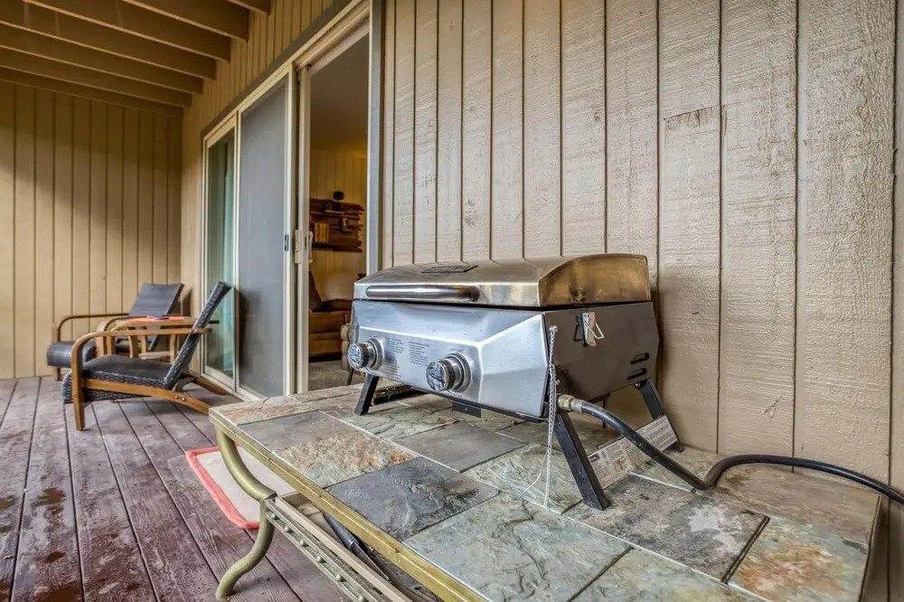 Ski House 119