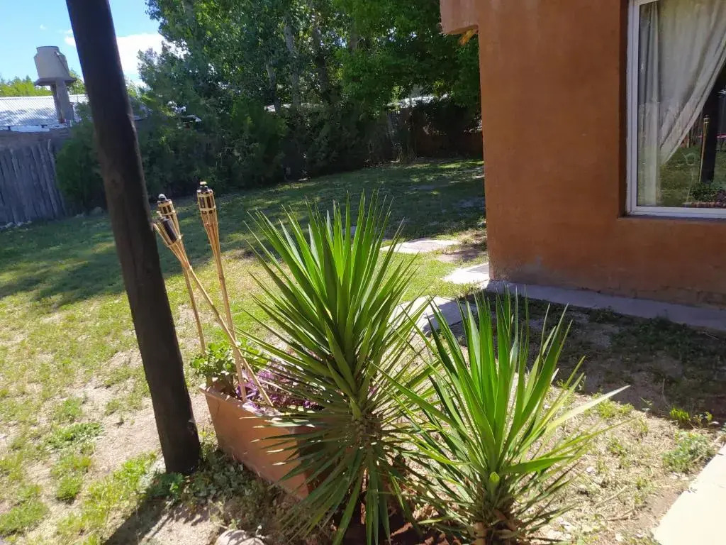 Apartamento Cerro Tolosa