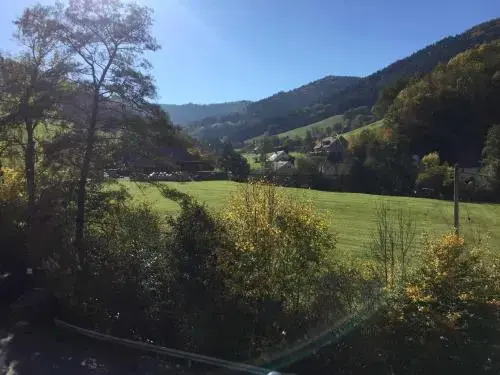 Ferienwohnung am Bannwald 1