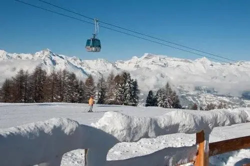 Perce Neige