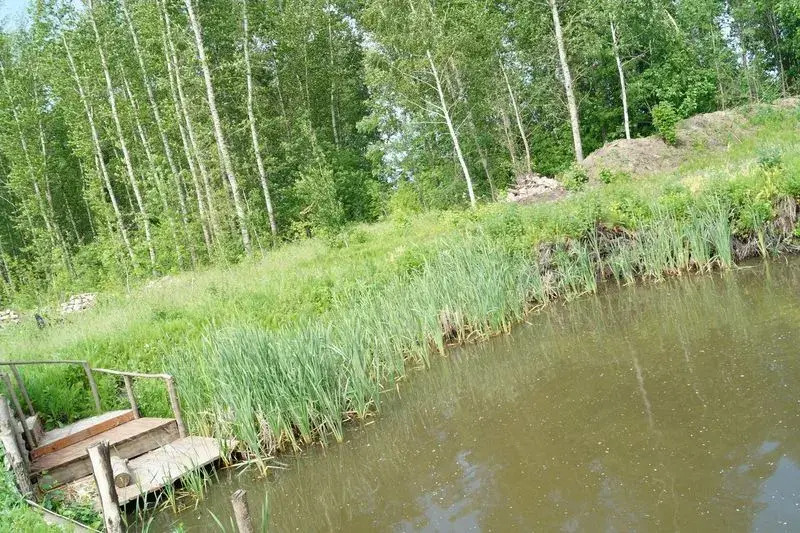Хуторок