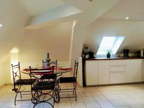 T2 Vue chateau Amboise, Cozy,Calme,Wifi,Netflix