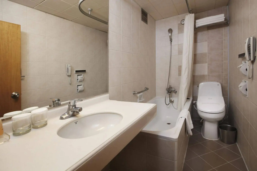 Savoy Hotel Myeongdong