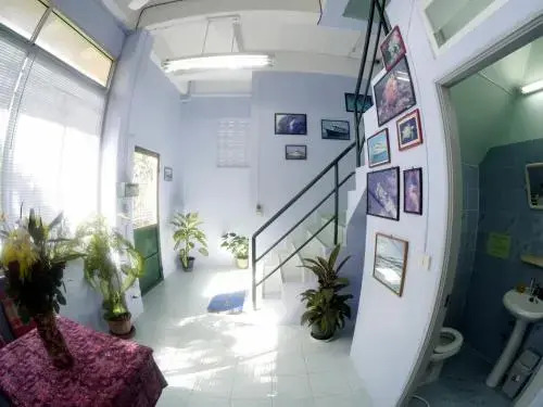 Dive Den
