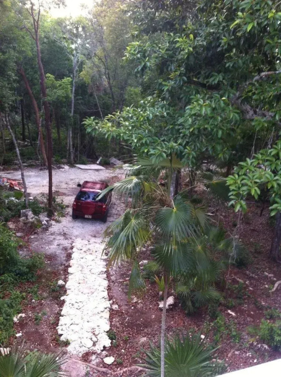Mi Casa en la Jungla - Adults Only