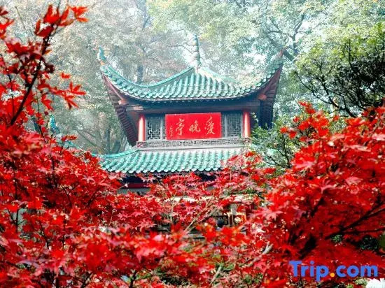 Bodu Riverside Boutique Stay (Changsha Wu Yi Square Tianbao Brothers)