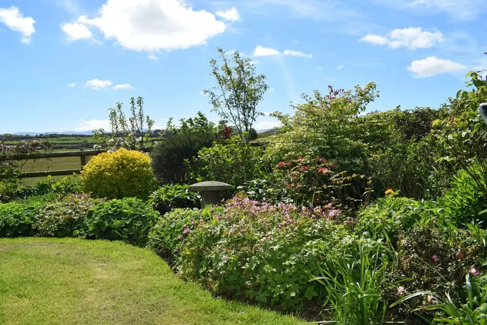 Parc Yr Odyn