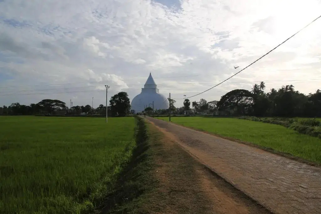 City Guest House