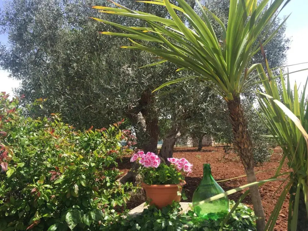 Il Trullo di Nonno Angelo San Marco