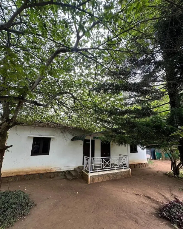 The Big Cats Den - Maravakandy Resort, Masinagudi