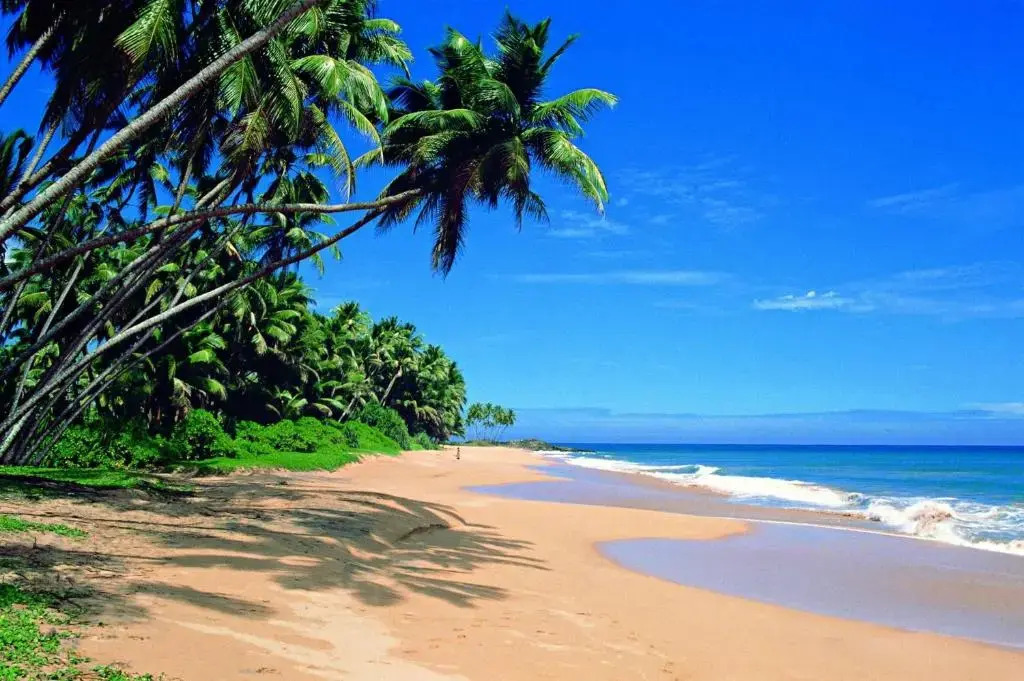 Shanthi Guest & beach villa