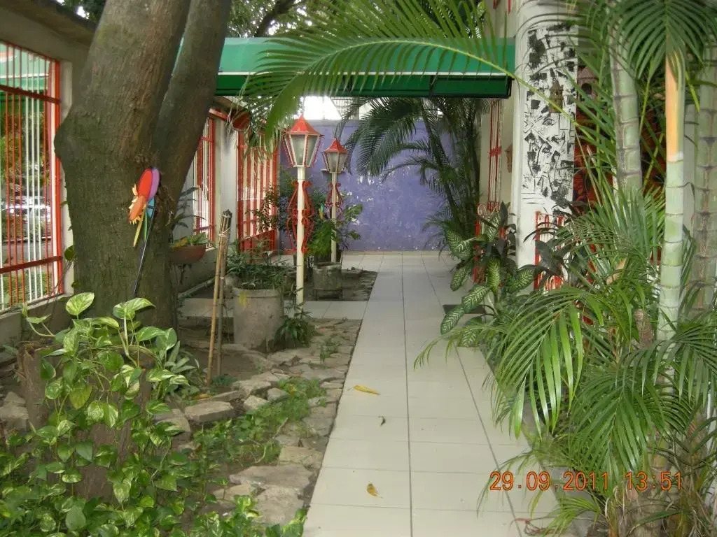 Tamarindo Hostel