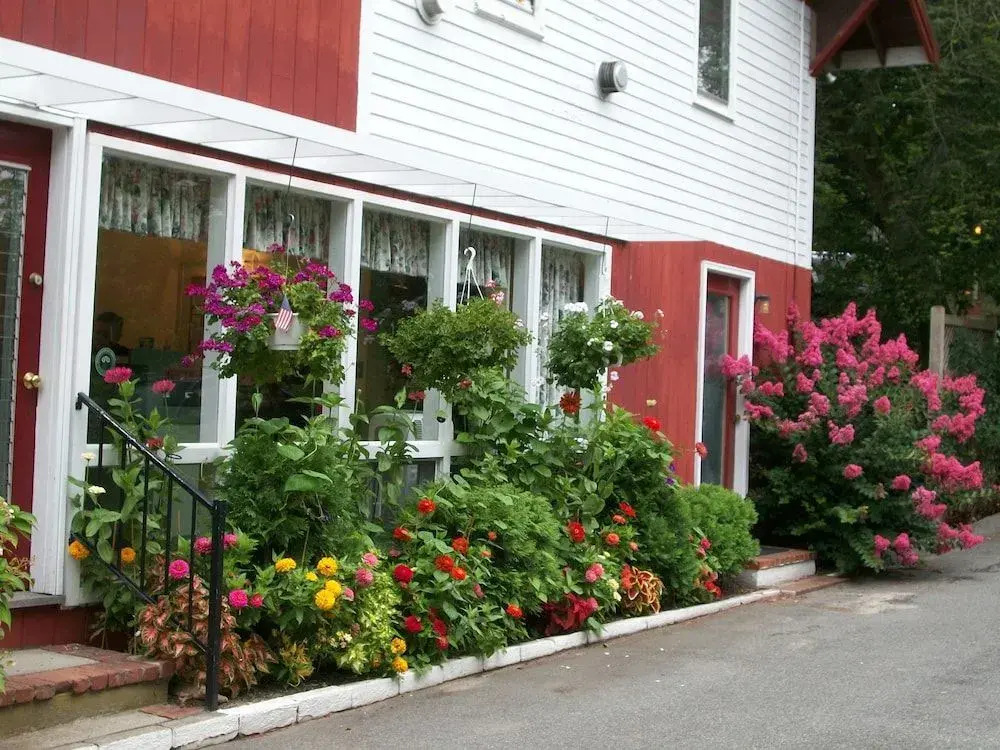 Treehouse Lodge