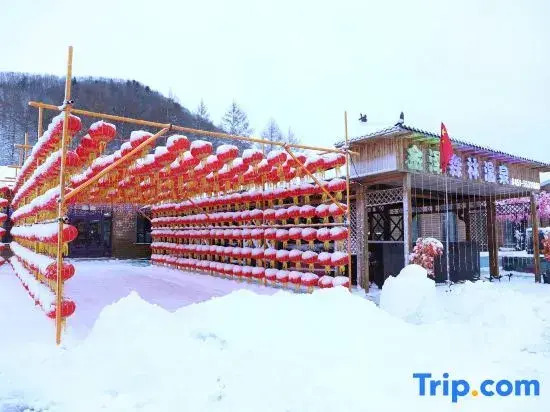 Xuegu Jinze Cold Spring Town (China Xuegu Scenic Area)