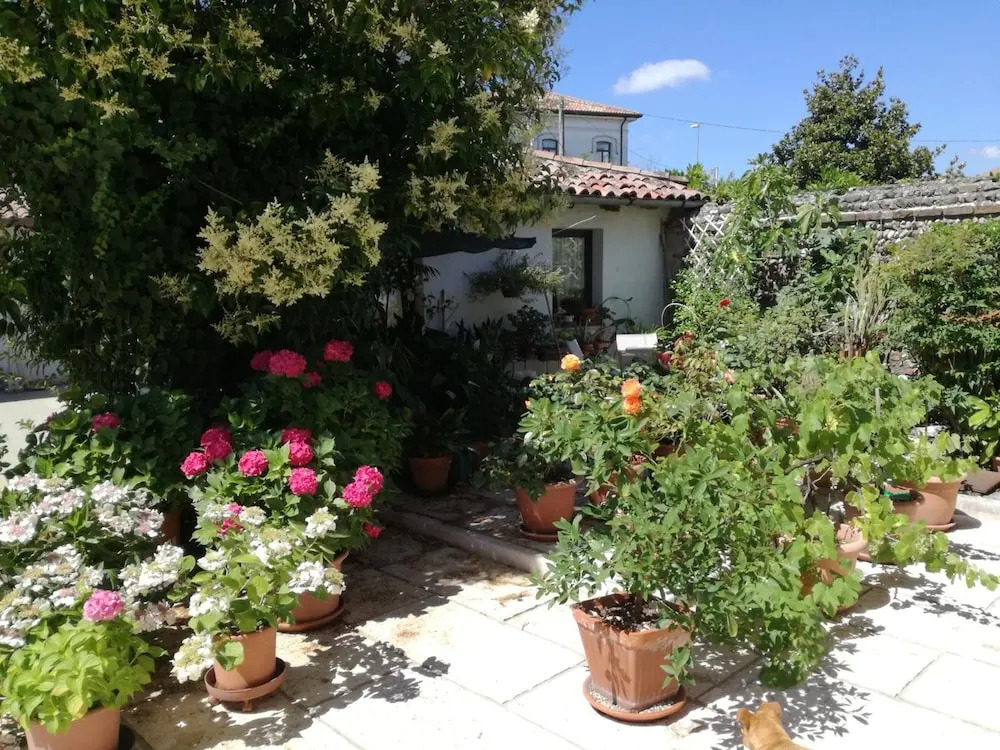 B&B LE ORTENSIE