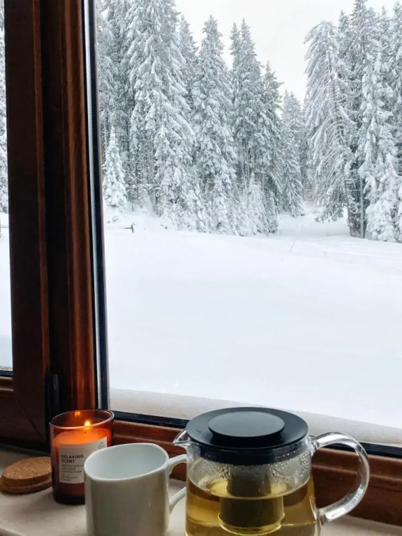 Ski Area 202 apt, The Castle 1, Pamporovo