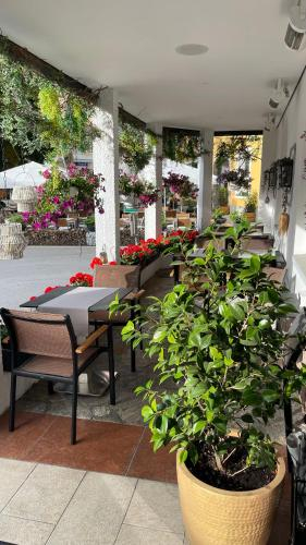 Hotel Radetzky
