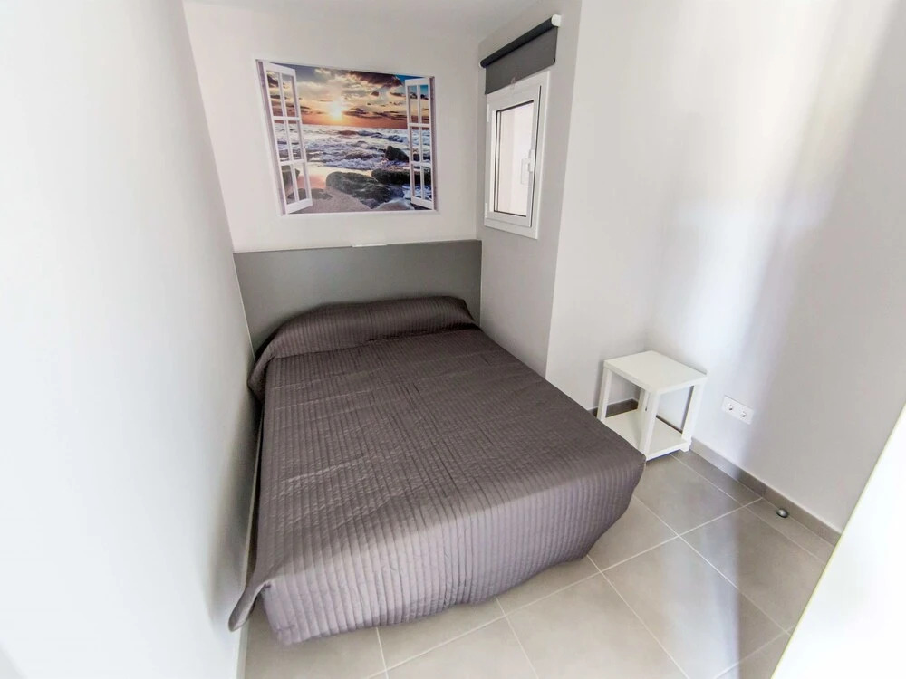 Apartamento Palmeras 1.1