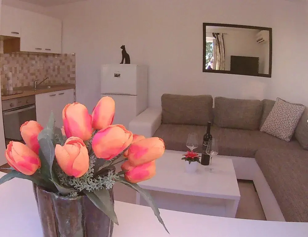 Apartment Near Old Town Dubrovnik With Terrace and Beatuful View