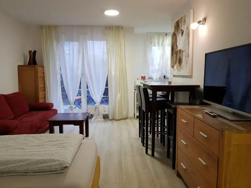 Apartment Metzingen City