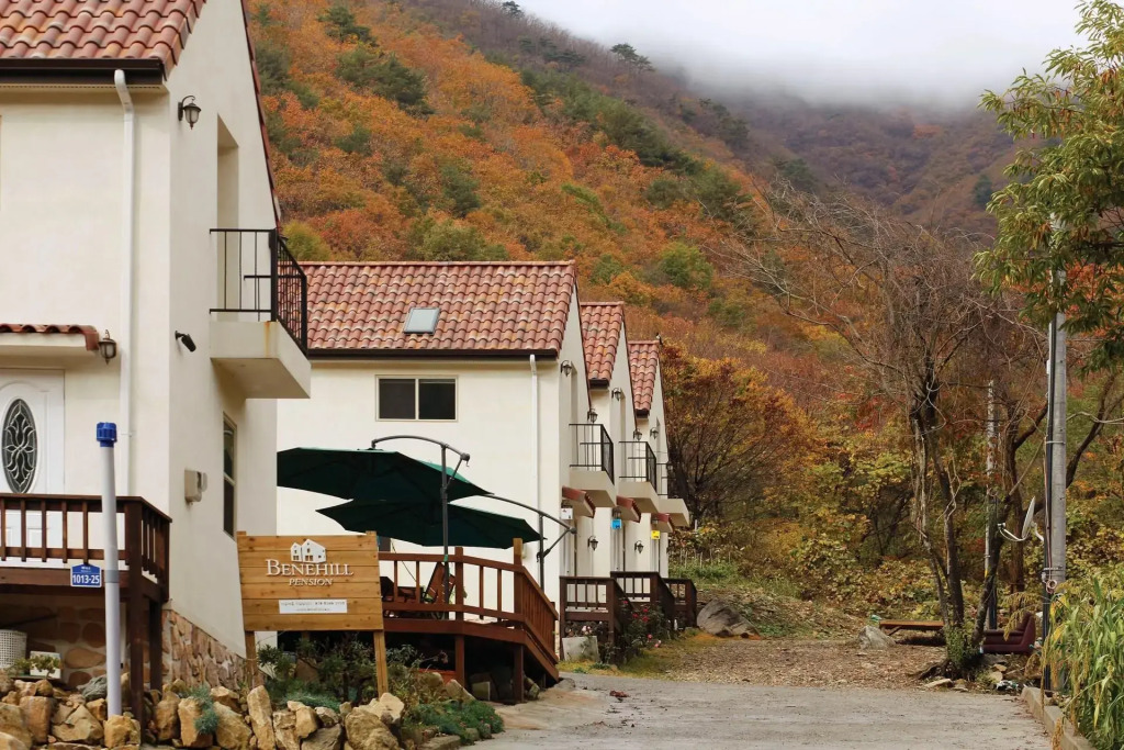 benehil pension