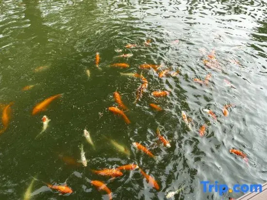 Wugengtian Homestay