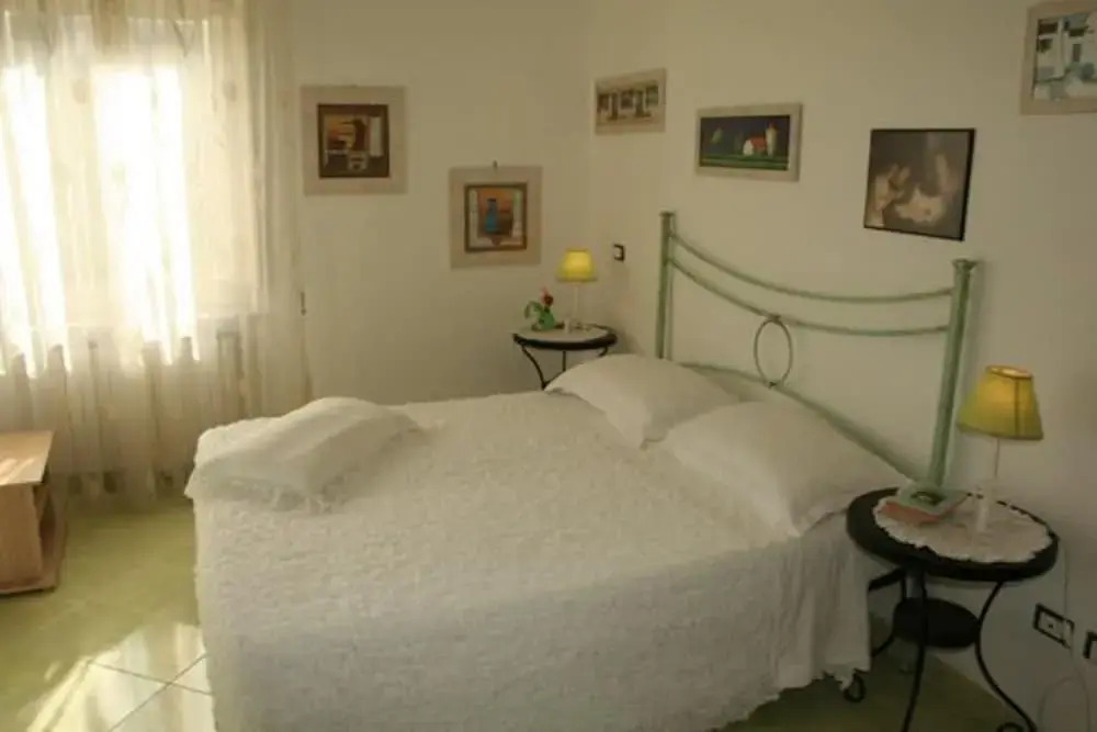 Il Tulipano