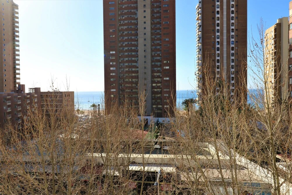 Apartamento Los Caballos 5-F