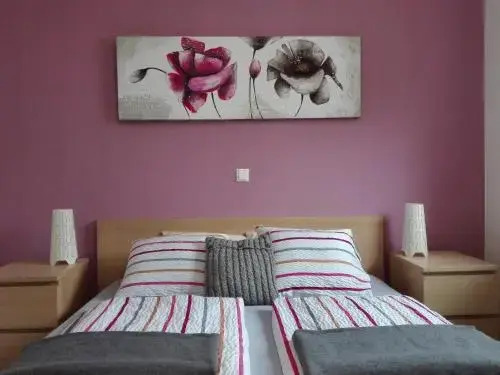 Apartments Grudnik with free parking
