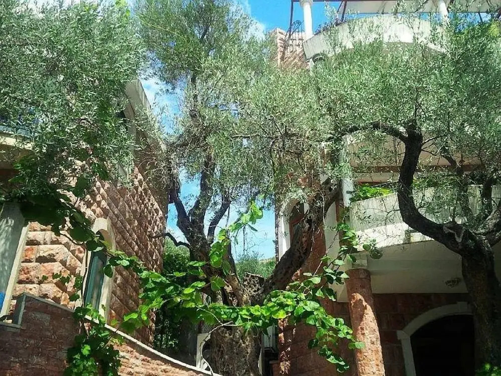 Levantin Inn 12 Apt N15