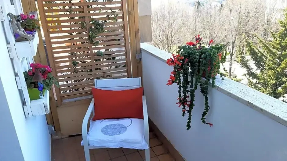 My b&b - Strada Vecchia del Pinocchio 3/B