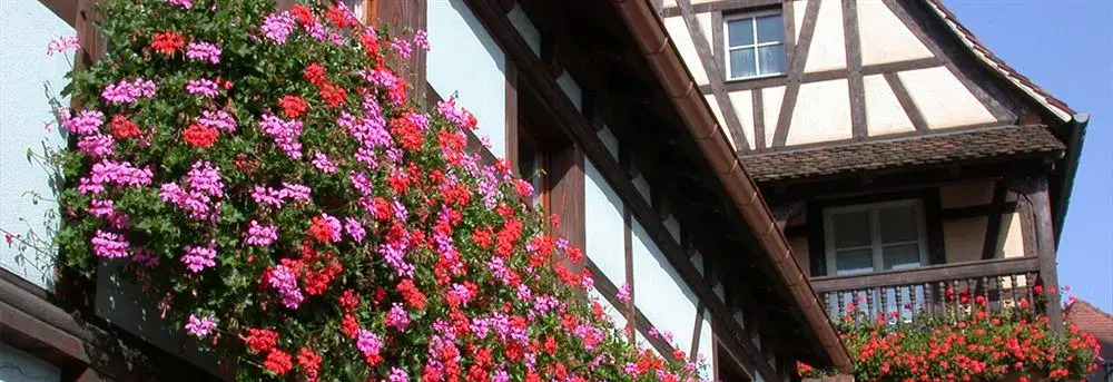 Citotel Les Vosges