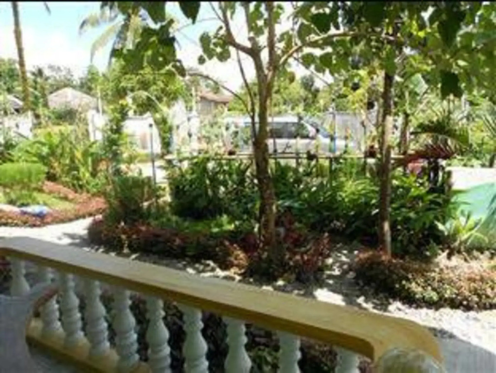 Bunnys Beach Resort