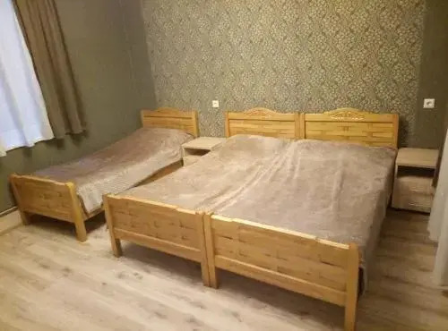 Hotel "Fichvnari" in Pasanauri